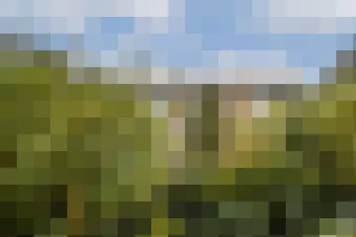 Adelaarsweg 18 Amsterdam thumbnail 13