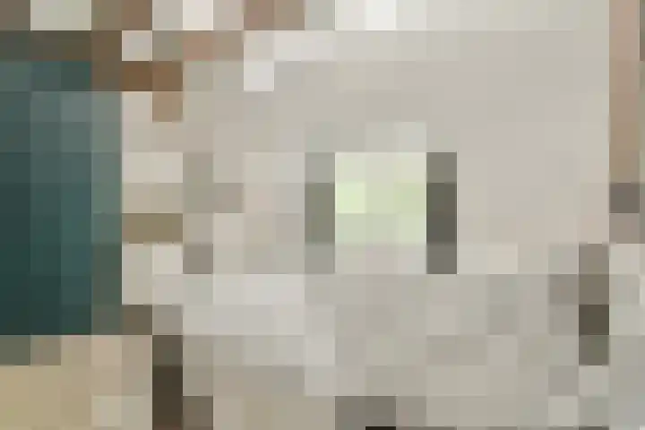 Adelaarsweg 18 Amsterdam thumbnail 18