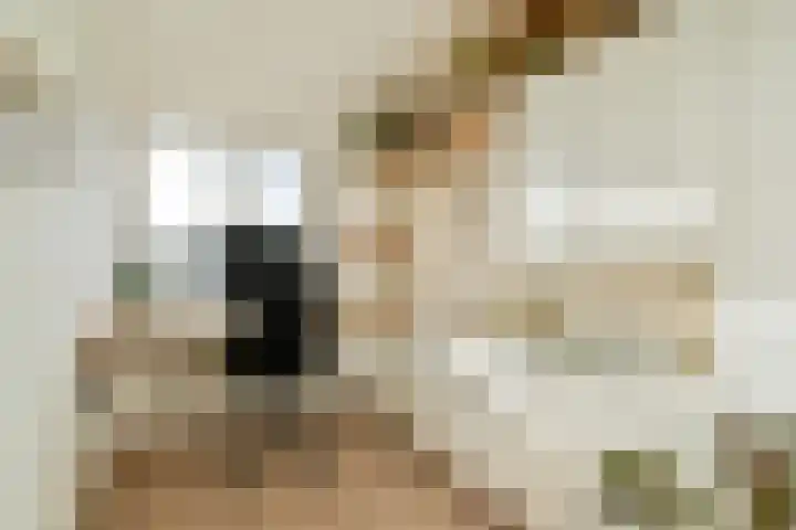 Adelaarsweg 18 Amsterdam thumbnail 19