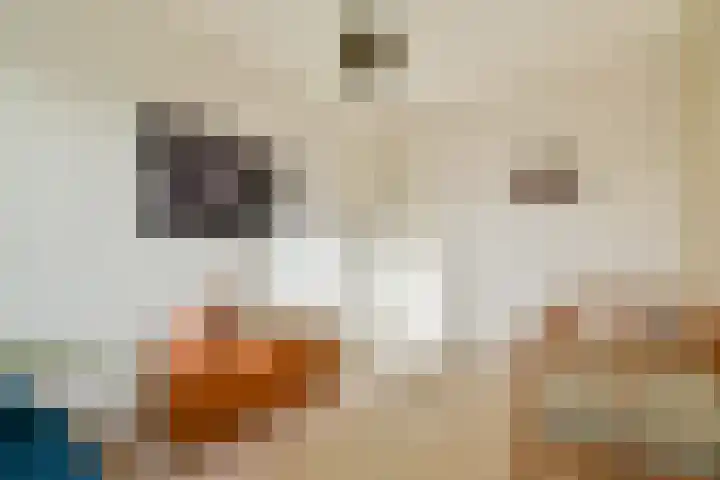 Adelaarsweg 18 Amsterdam thumbnail 21