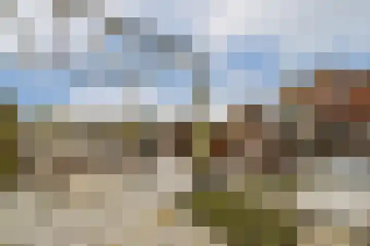 Adelaarsweg 18 Amsterdam thumbnail 24
