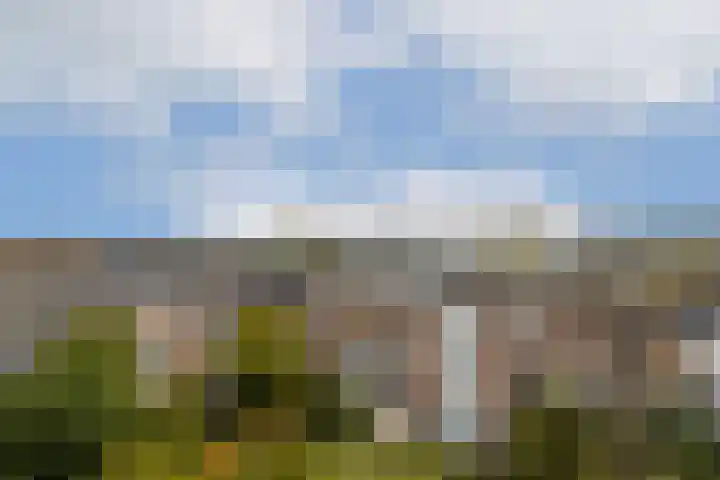 Adelaarsweg 18 Amsterdam thumbnail 27