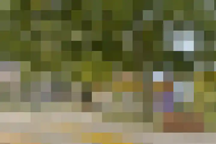 Adelaarsweg 18 Amsterdam thumbnail 30