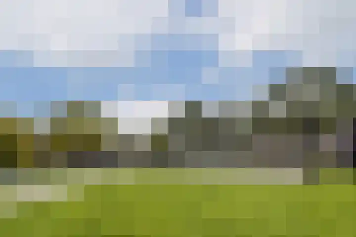 Adelaarsweg 18 Amsterdam thumbnail 31