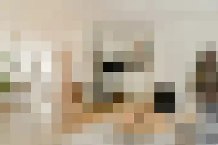 Adelaarsweg 18 Amsterdam thumbnail 4
