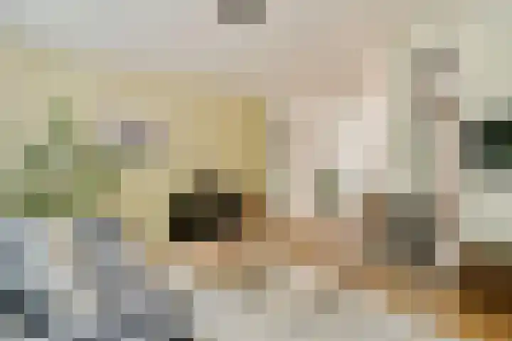 Adelaarsweg 18 Amsterdam thumbnail 5