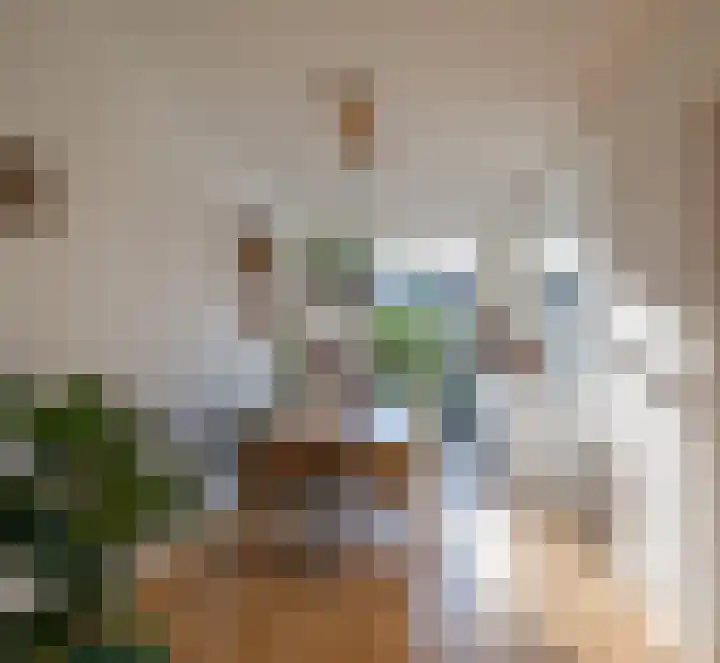 Adelaarsweg 18 Amsterdam thumbnail 6
