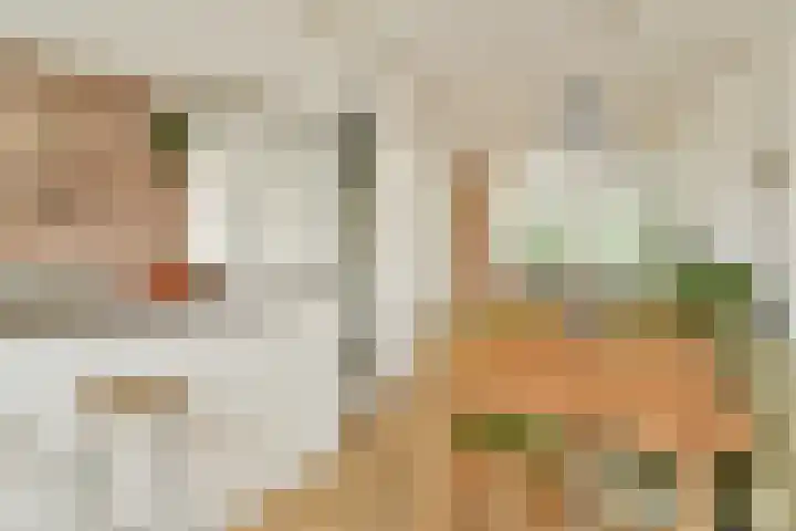 Adelaarsweg 18 Amsterdam thumbnail 8