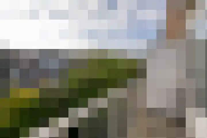 Adelaarsweg 20 Amsterdam thumbnail 12