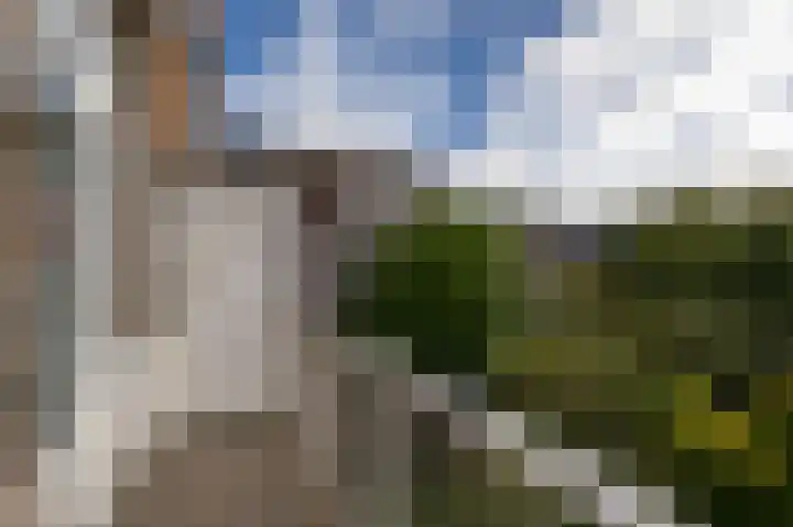 Adelaarsweg 20 Amsterdam thumbnail 13