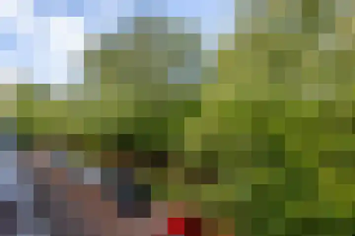 Adelaarsweg 20 Amsterdam thumbnail 20