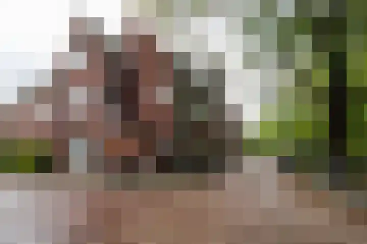 Adelaarsweg 20 Amsterdam thumbnail 34