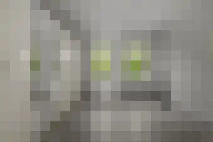 Adelaarsweg 20 Amsterdam thumbnail 8