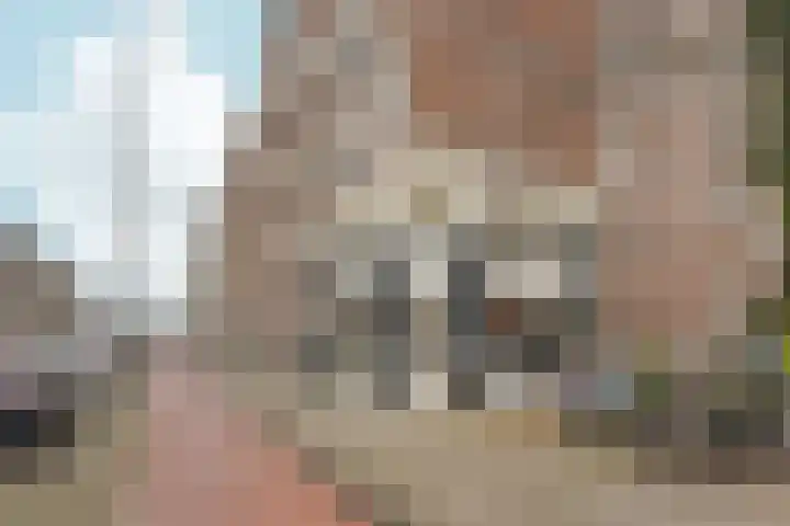 Adelaarsweg 24 Assen thumbnail 11