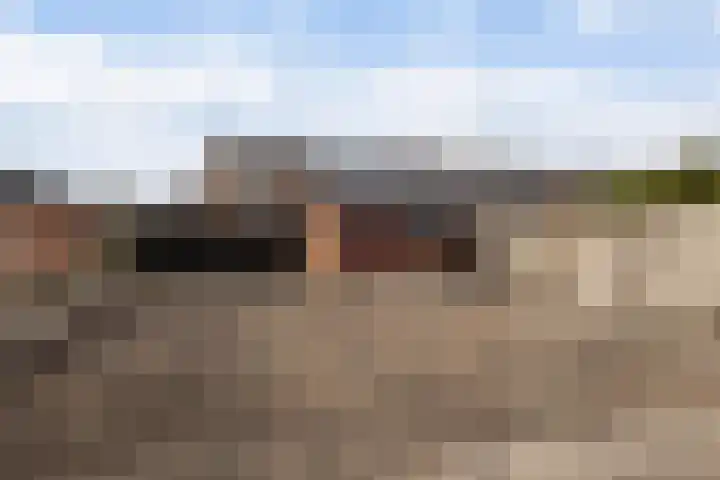 Adelaarsweg 24 Assen thumbnail 15