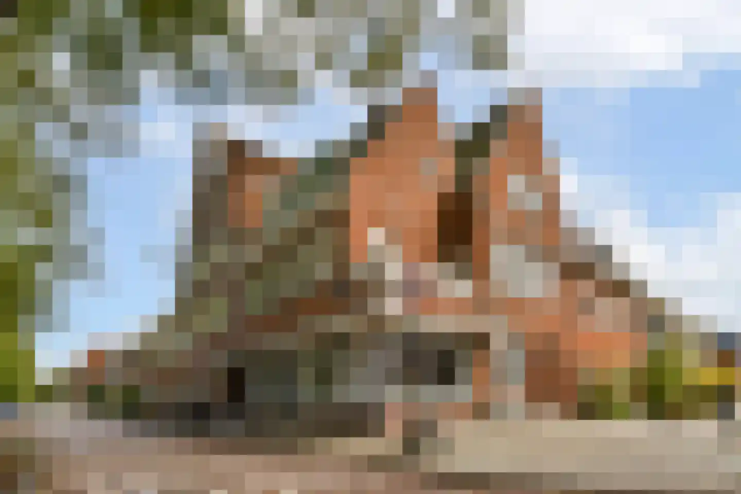 Adelaarsweg 25 Amsterdam
