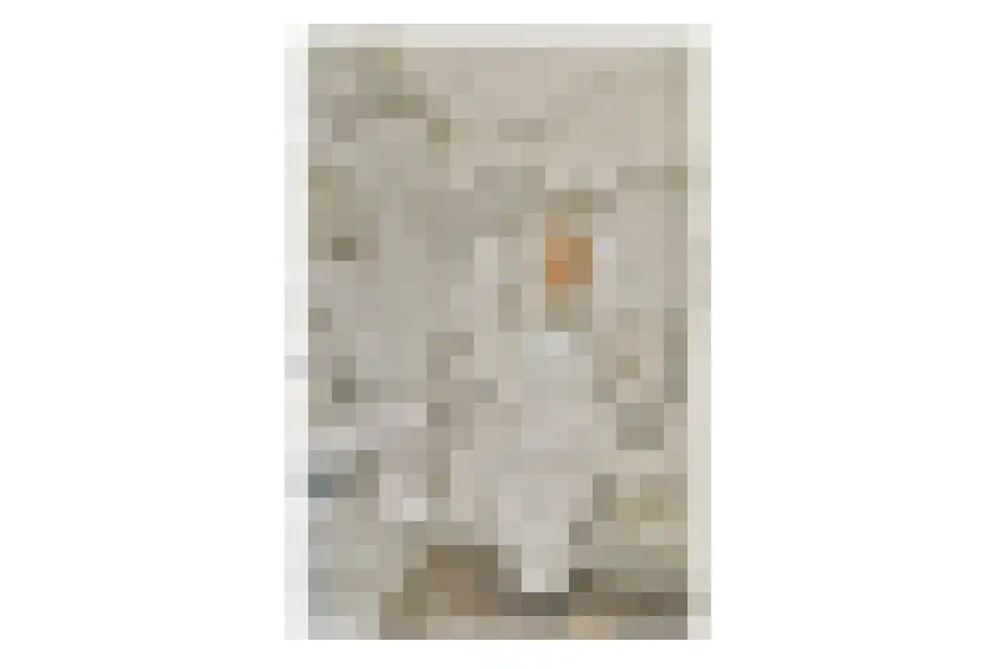 Adelaarsweg 25 Amsterdam thumbnail 16