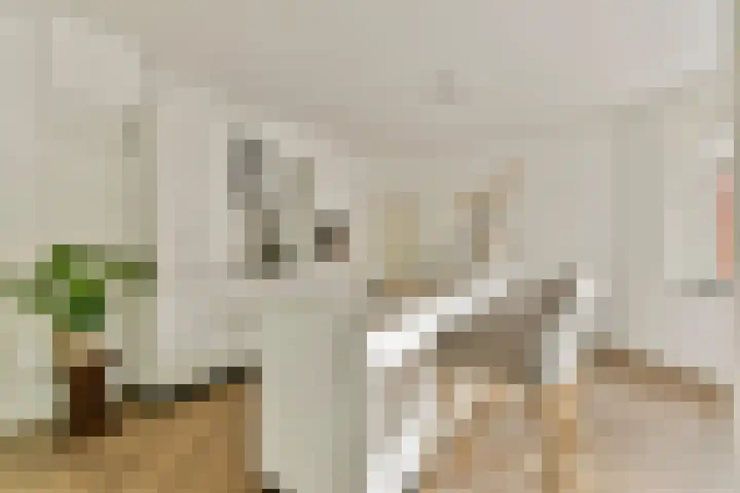 Adelaarsweg 25 Amsterdam thumbnail 4