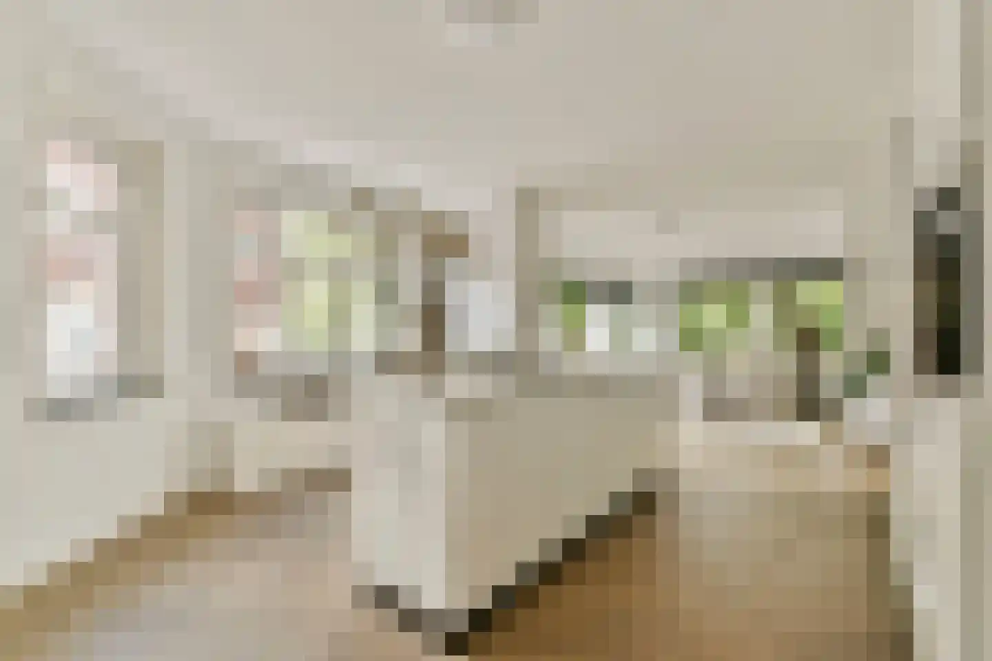 Adelaarsweg 25 Amsterdam thumbnail 5
