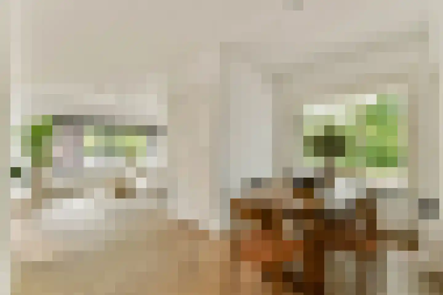 Adelaarsweg 25 Amsterdam thumbnail 6
