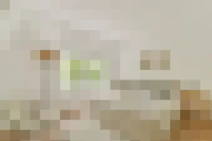 Adelaarsweg 27 H Amsterdam thumbnail 13
