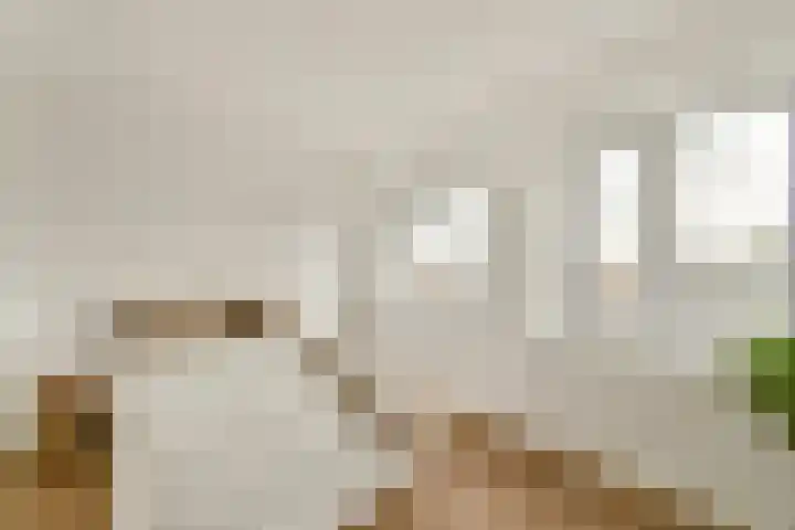 Adelaarsweg 27 H Amsterdam thumbnail 15