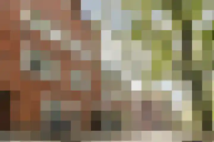 Adelaarsweg 27 H Amsterdam thumbnail 23