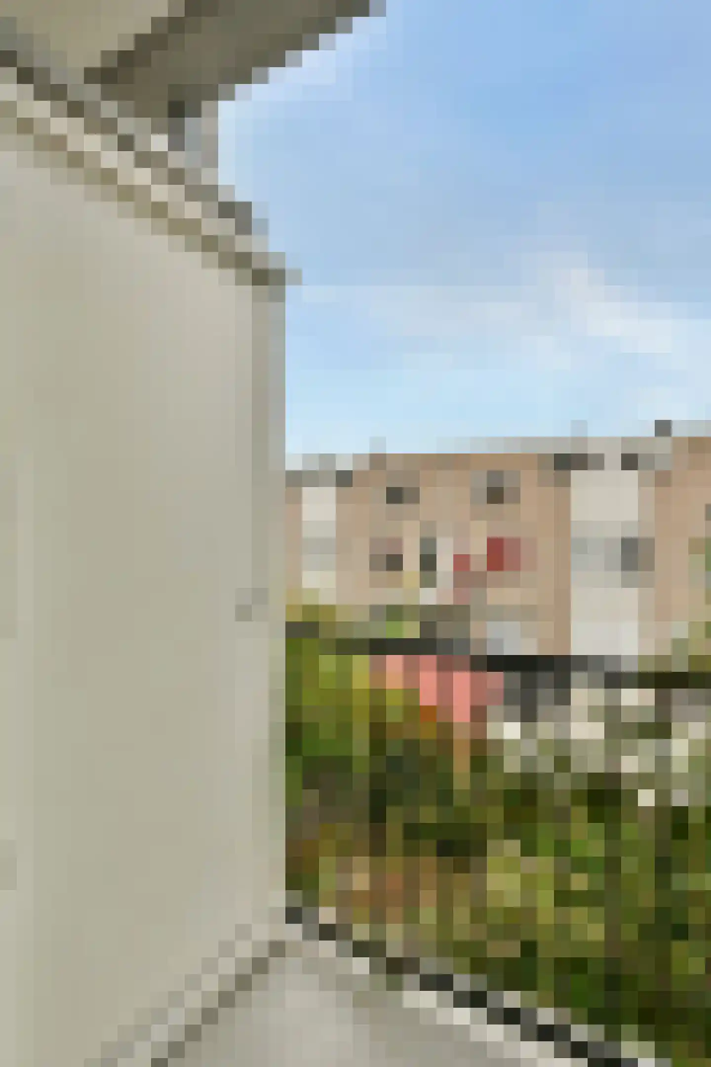 Adelaarsweg 39 1 Amsterdam thumbnail 12