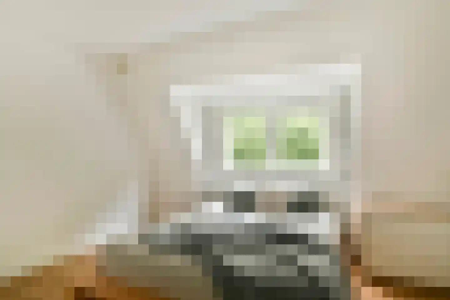 Adelaarsweg 39 1 Amsterdam thumbnail 18