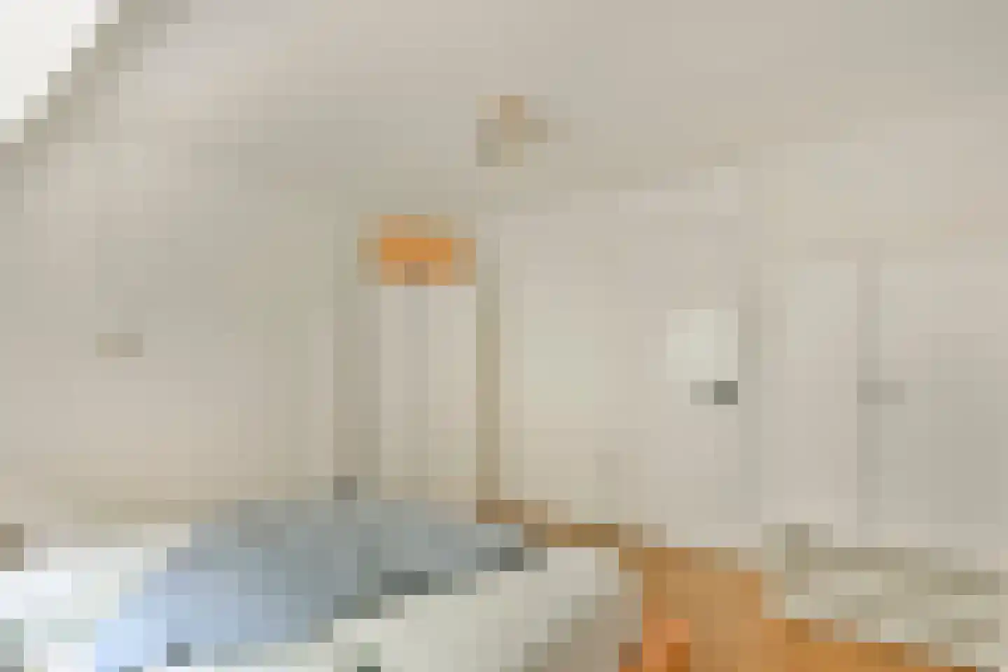 Adelaarsweg 39 1 Amsterdam thumbnail 19