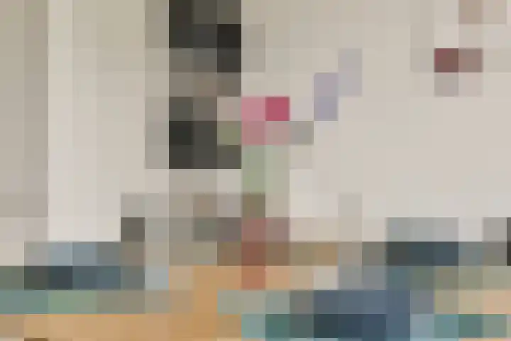Adelaarsweg 54 1 Amsterdam thumbnail 10