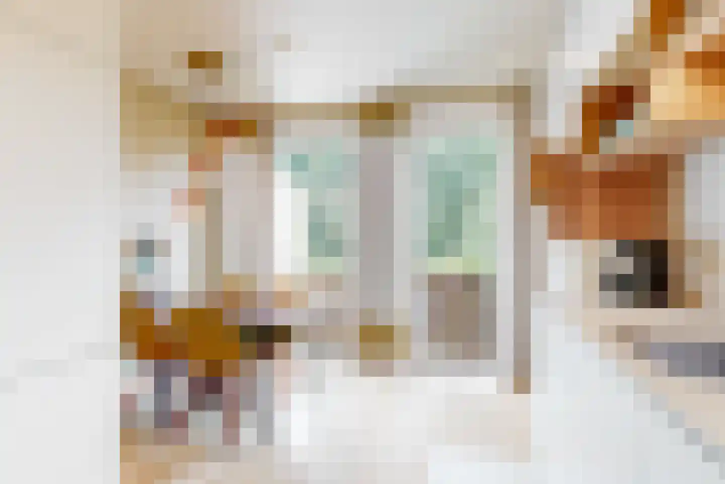 Adelaarsweg 54 1 Amsterdam thumbnail 14