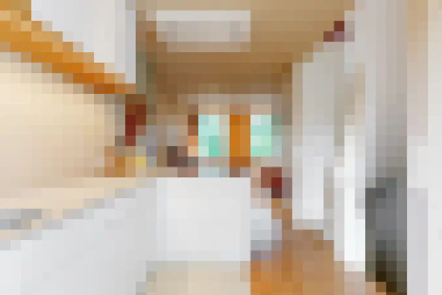 Adelaarsweg 54 1 Amsterdam thumbnail 17