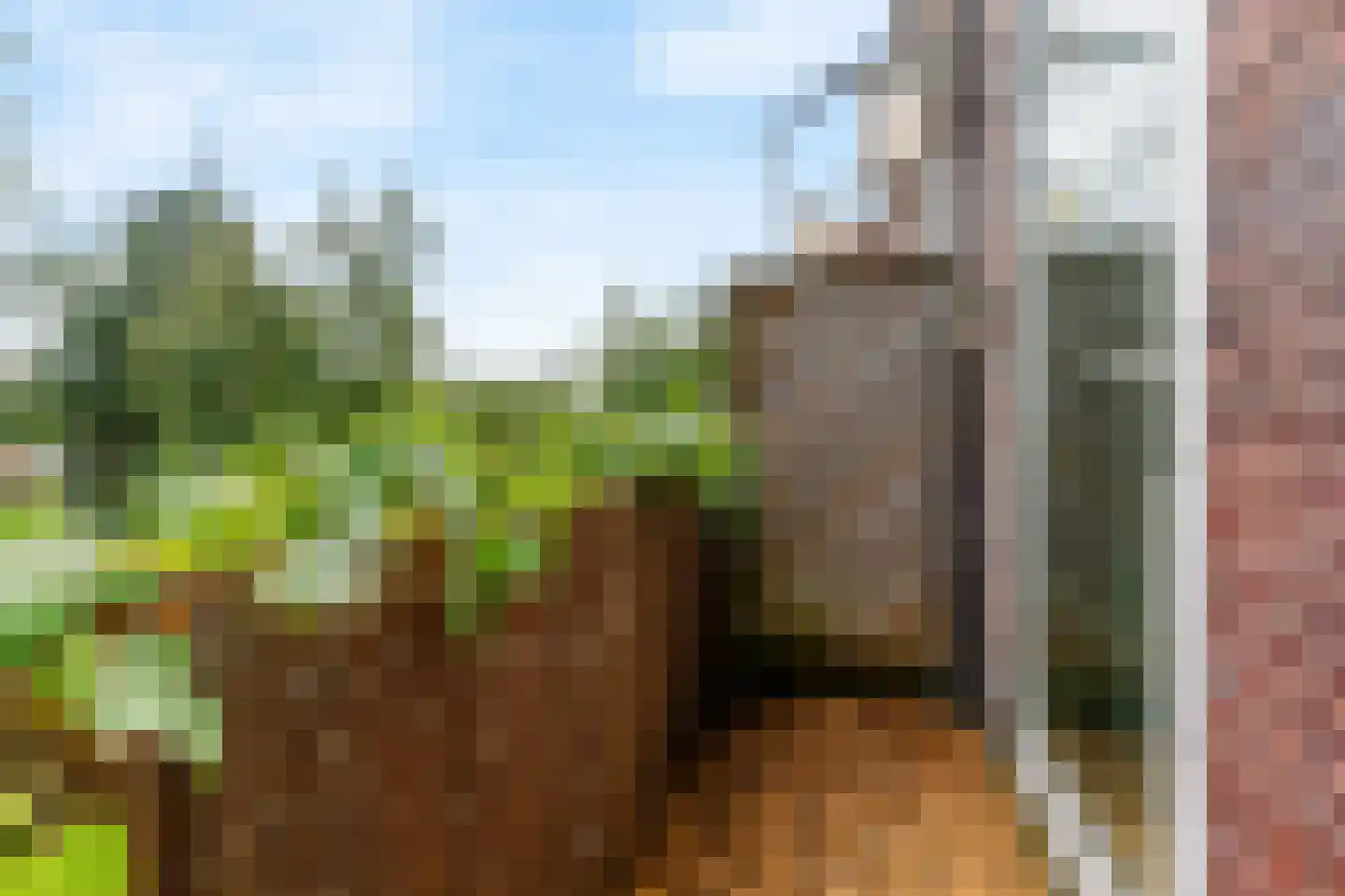 Adelaarsweg 54 1 Amsterdam thumbnail 19