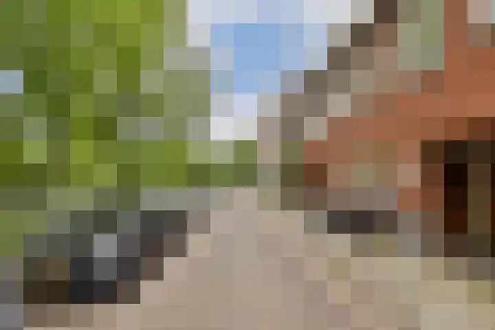Adelaarsweg 54 1 Amsterdam thumbnail 29
