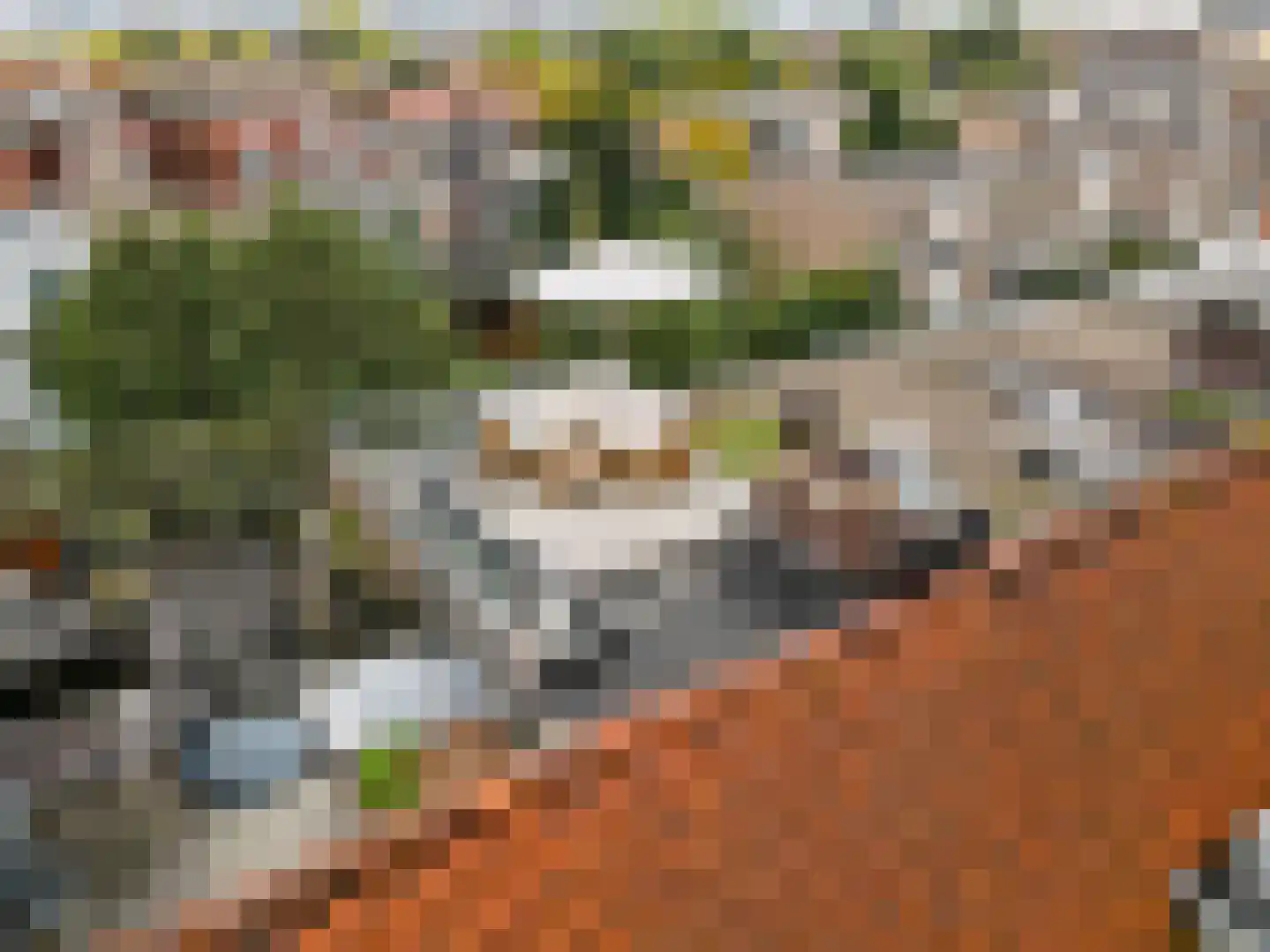 Adelaarsweg 54 1 Amsterdam thumbnail 36