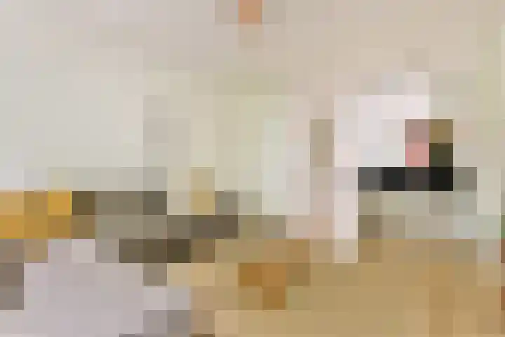 Adelaarsweg 54 1 Amsterdam thumbnail 5