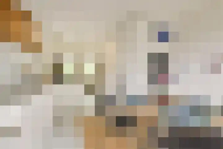 Adelaarsweg 54 1 Amsterdam thumbnail 9