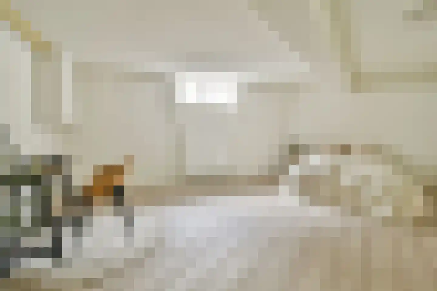 Adelaarsweg 60 Amsterdam thumbnail 11
