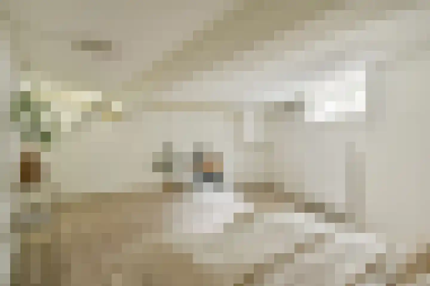 Adelaarsweg 60 Amsterdam thumbnail 12