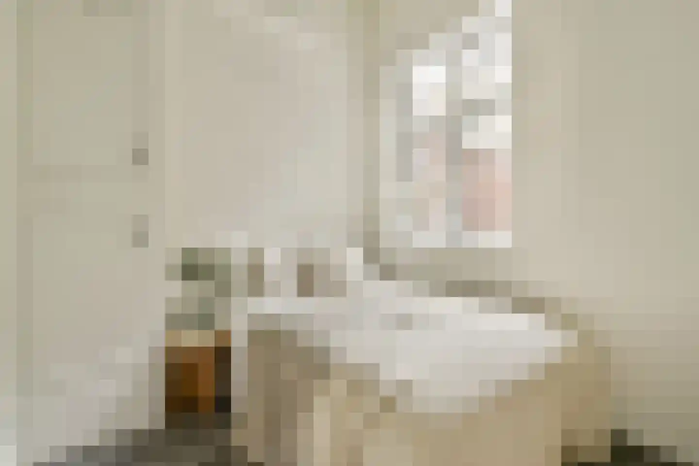 Adelaarsweg 60 Amsterdam thumbnail 7