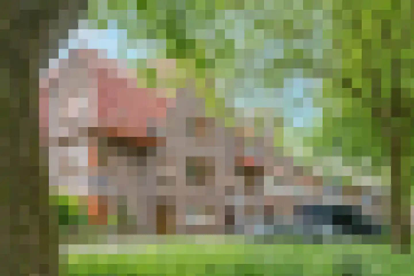Adelaarsweg 76 in Amsterdam