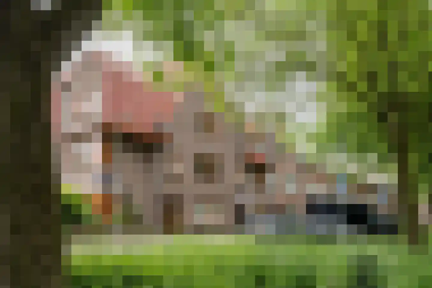 Adelaarsweg 76 Amsterdam