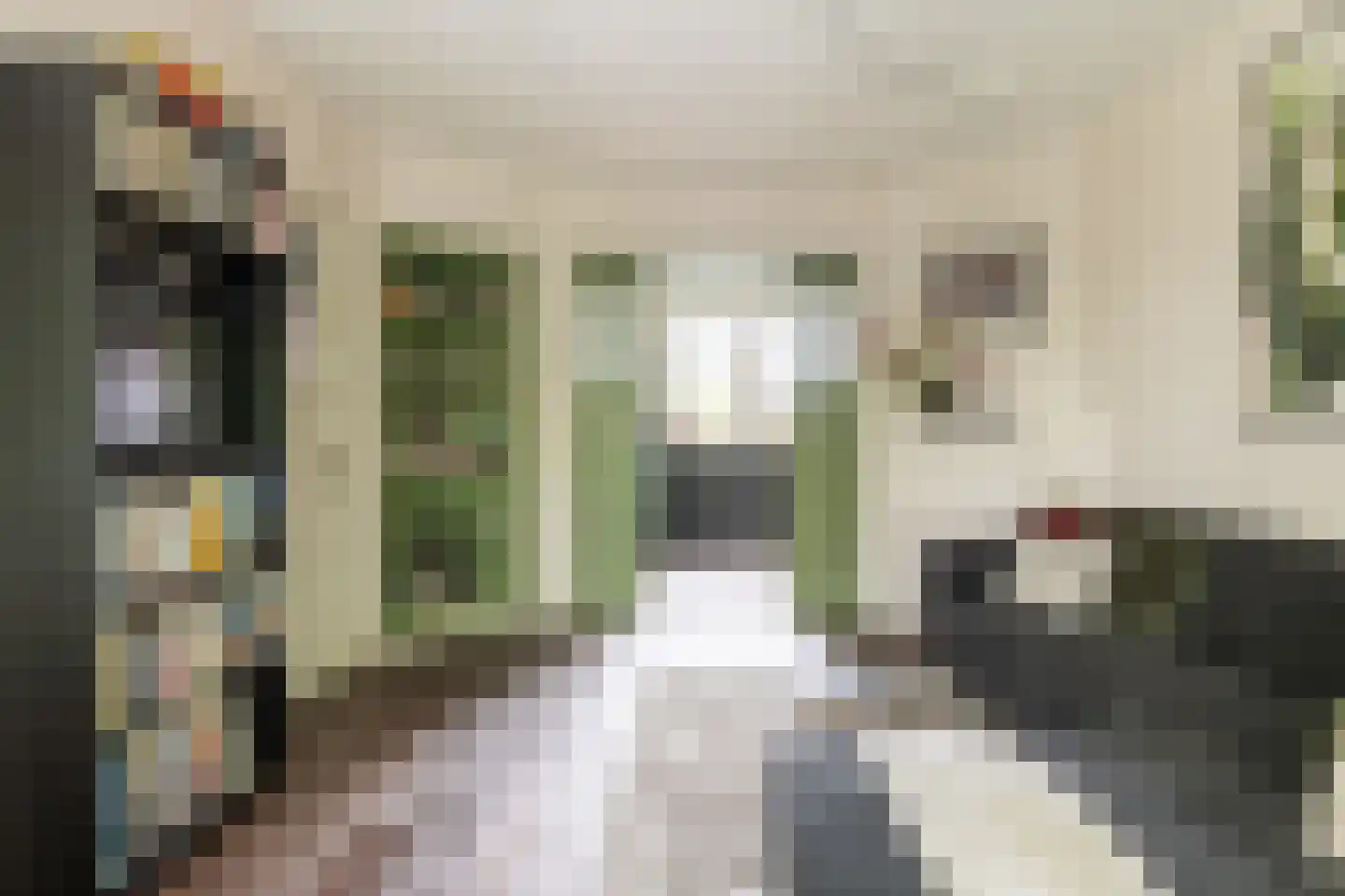 Adelaarsweg 76 Amsterdam thumbnail 13