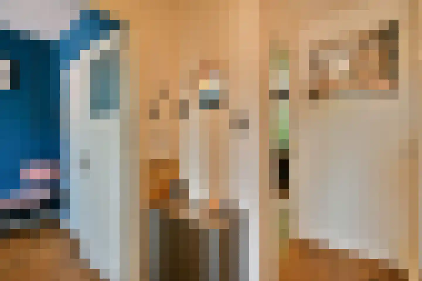 Adelaarsweg 76 Amsterdam thumbnail 14