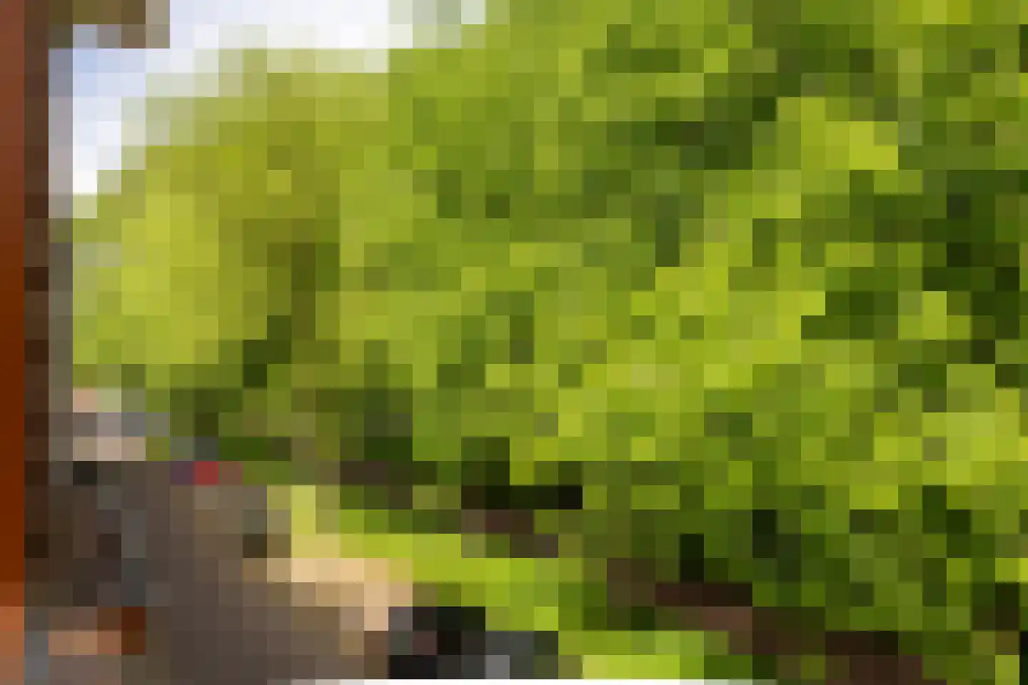 Adelaarsweg 76 Amsterdam thumbnail 17