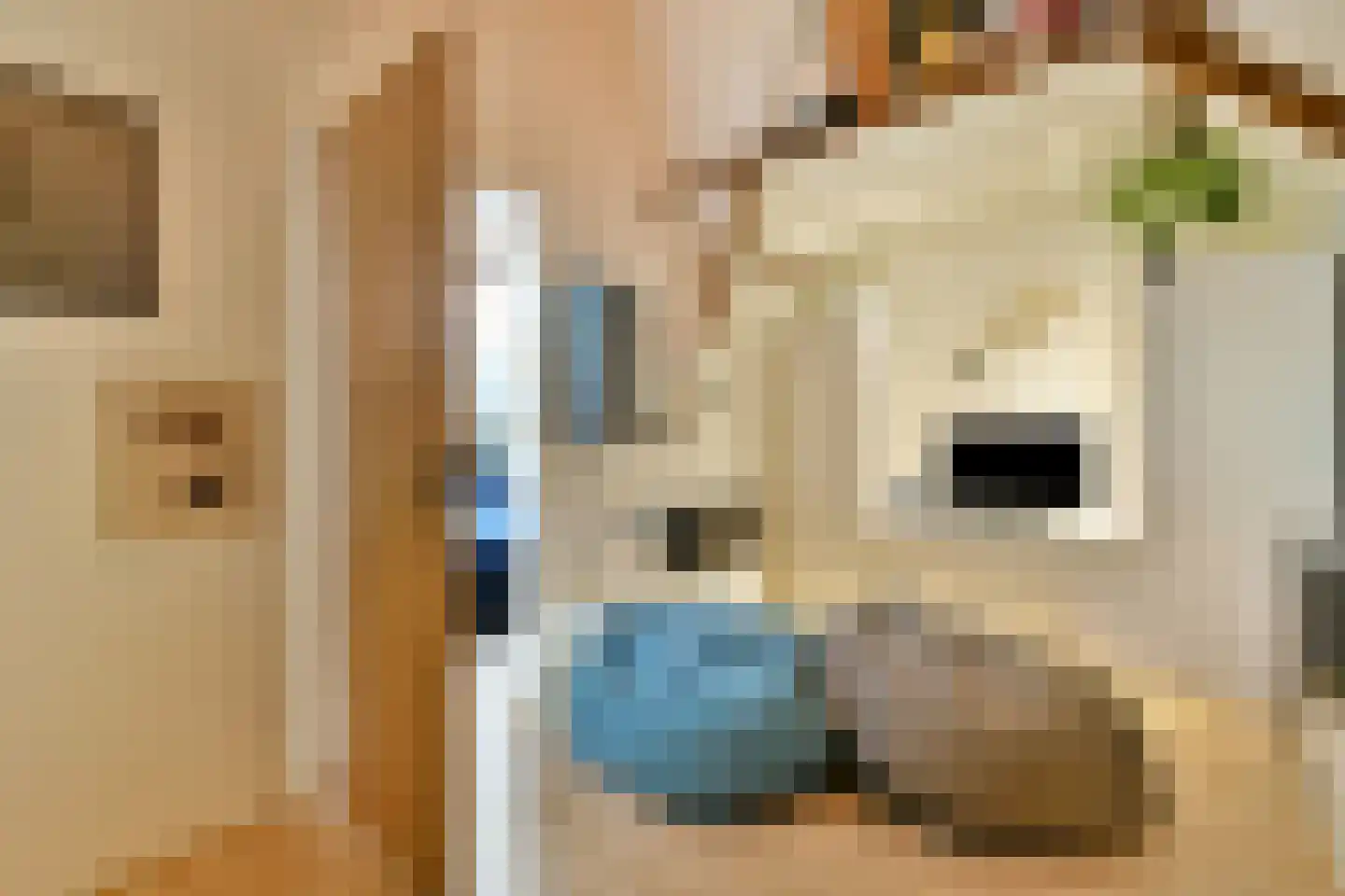 Adelaarsweg 76 Amsterdam thumbnail 26