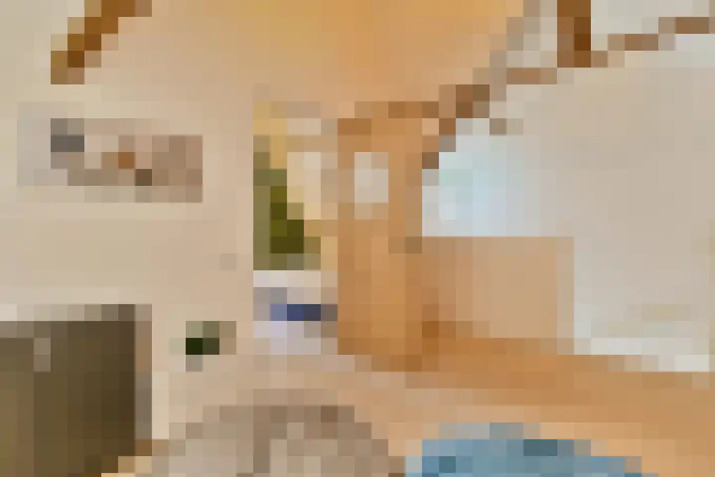 Adelaarsweg 76 Amsterdam thumbnail 27