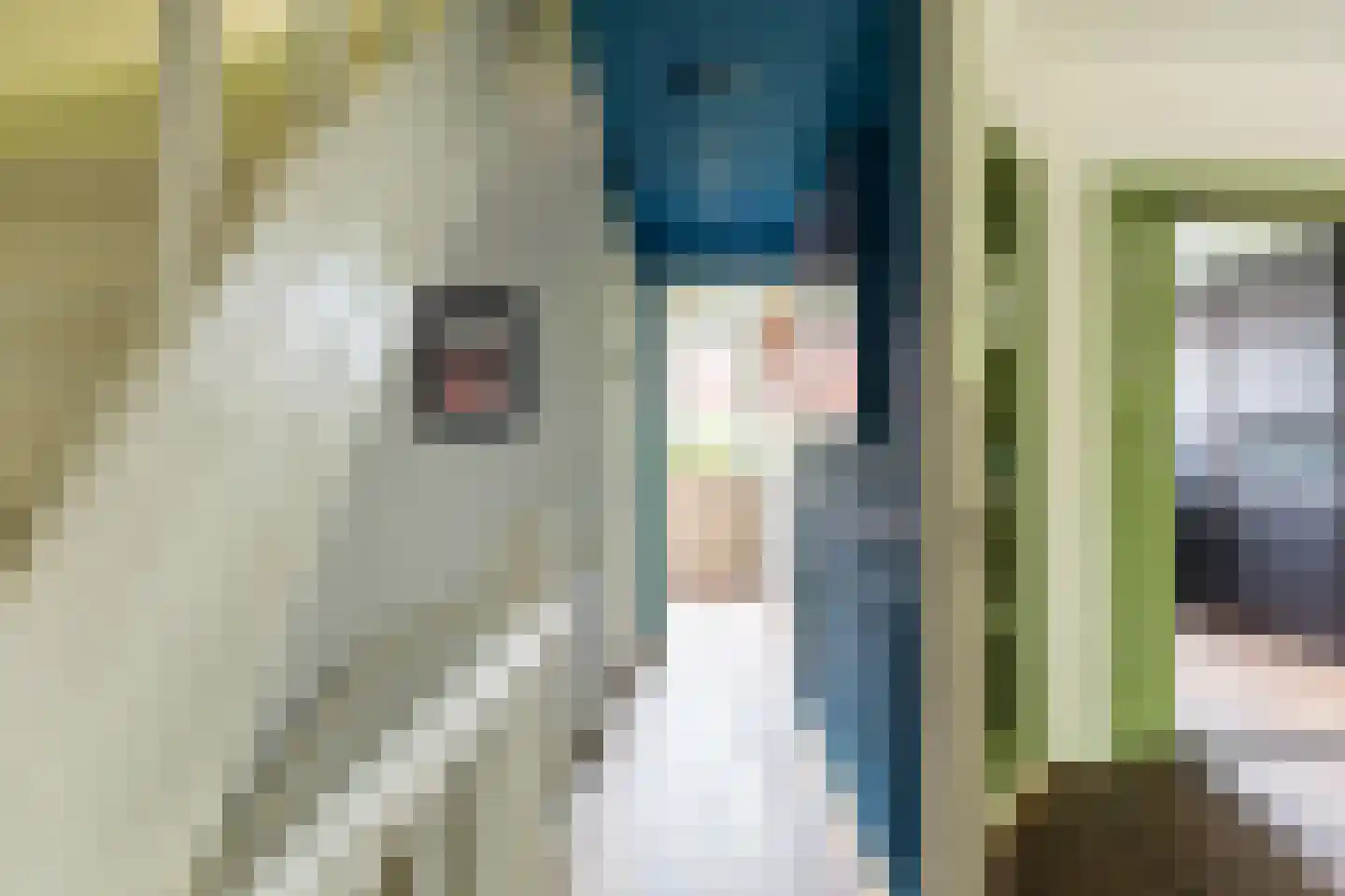 Adelaarsweg 76 Amsterdam thumbnail 27