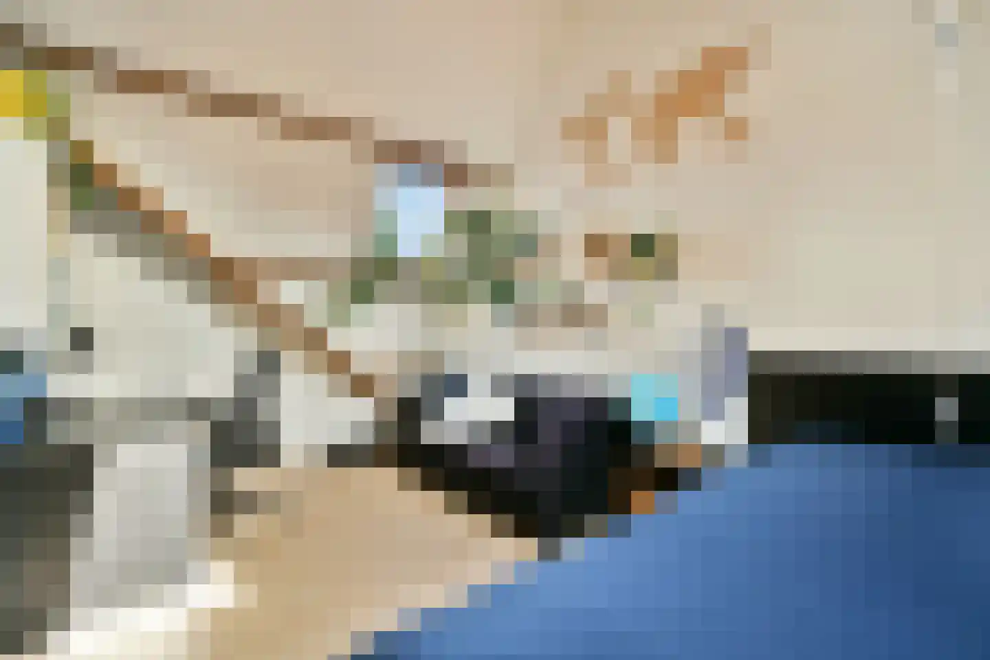 Adelaarsweg 76 Amsterdam thumbnail 28